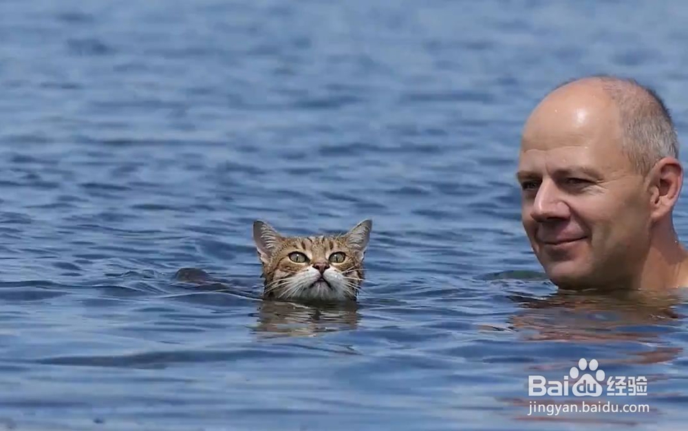 夏日游泳注意事项有哪些