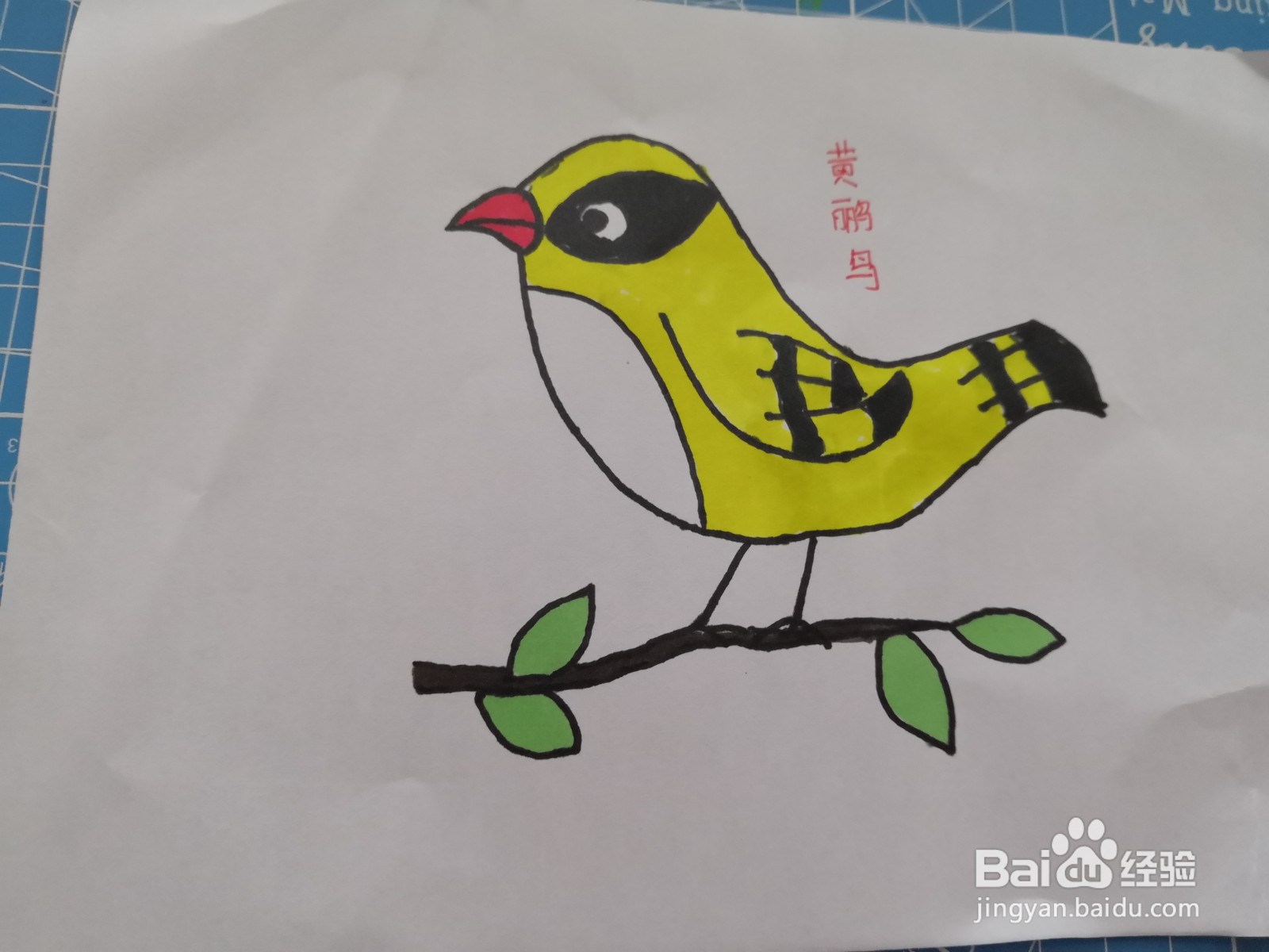 可爱的黄鹂鸟画法