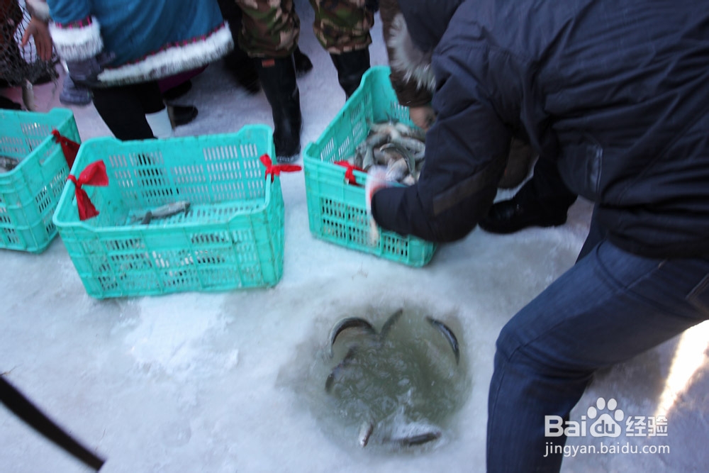 【内蒙古】达里湖冬捕节旅游攻略