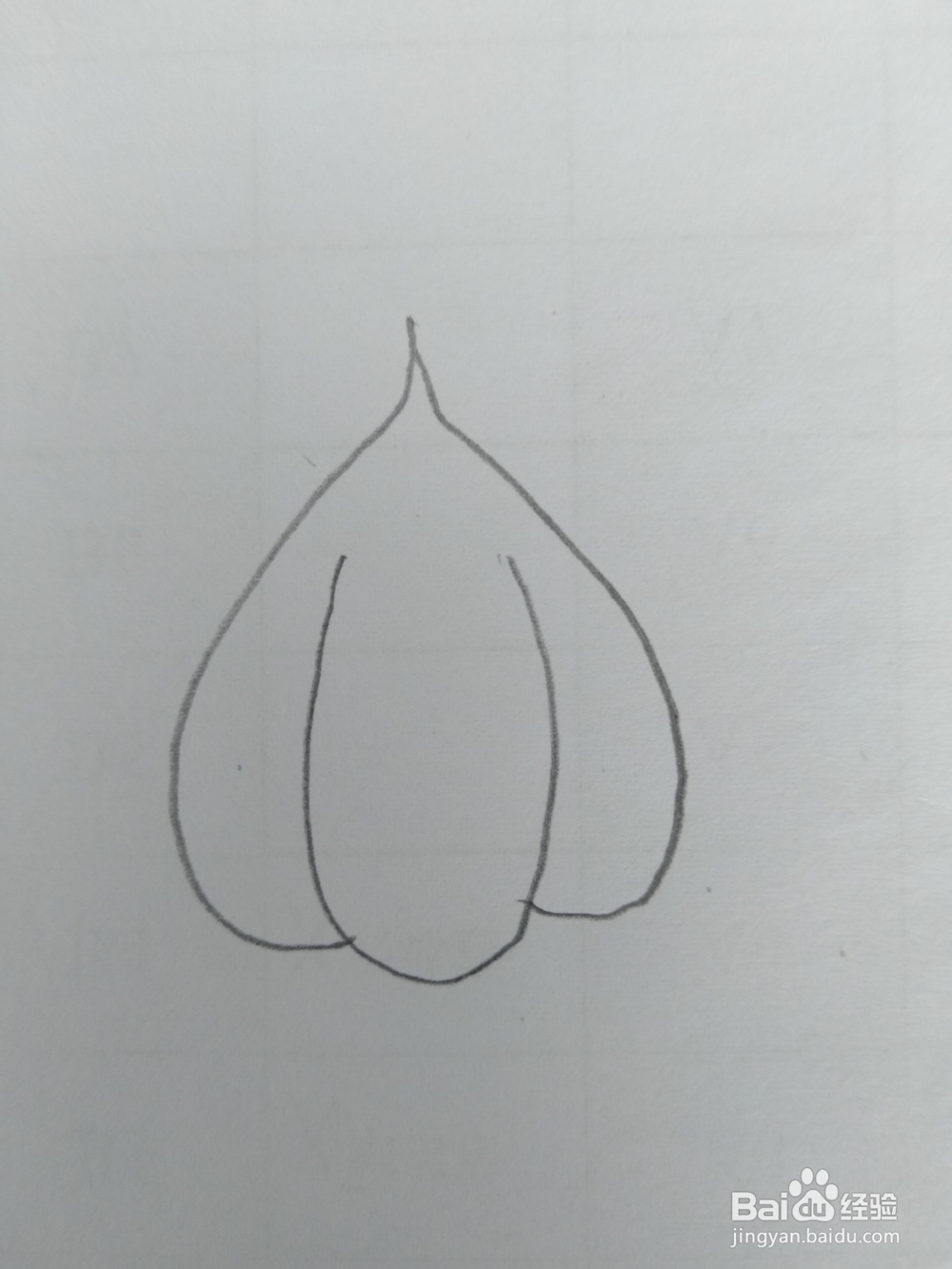 简笔画大蒜画法三