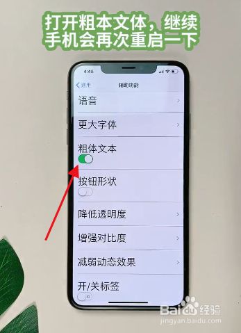 Iphone手机怎么设置成老年人用的 百度经验