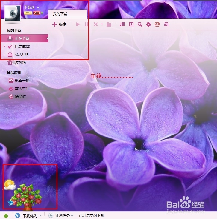 迅雷幸福树如何快速获得阳光值