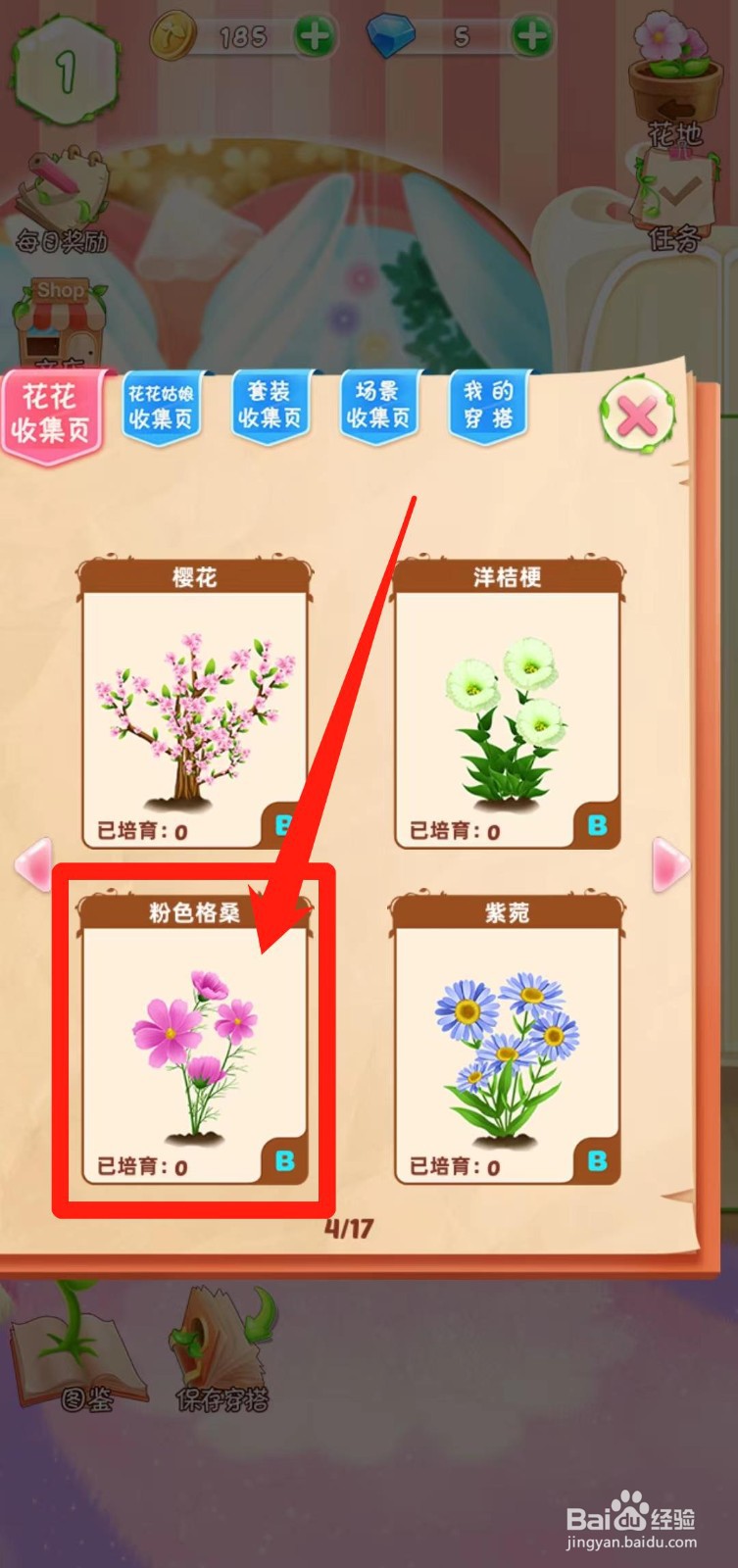 花花姑娘之魔法花园如何查看粉色格桑稀有度