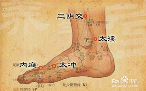 健康/養生 > 保健養生1 三陰交在足踝內側向上一掌的距離,位置如下圖.