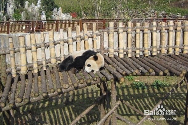 长沙有那些好玩的地方