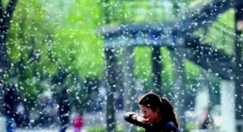 神经性皮炎除根方法