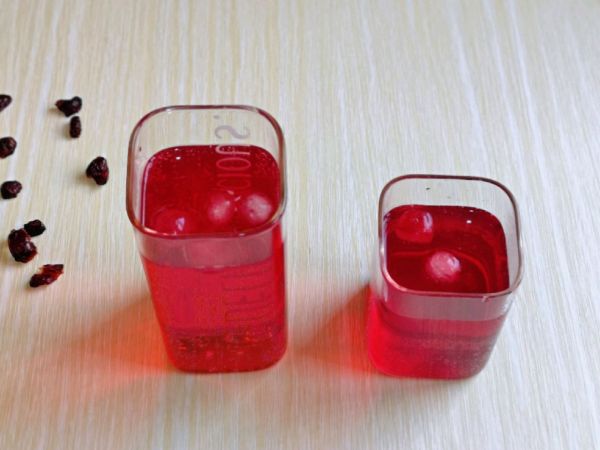 蔓越莓柠檬气泡水