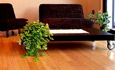 家具发霉了要怎么办?