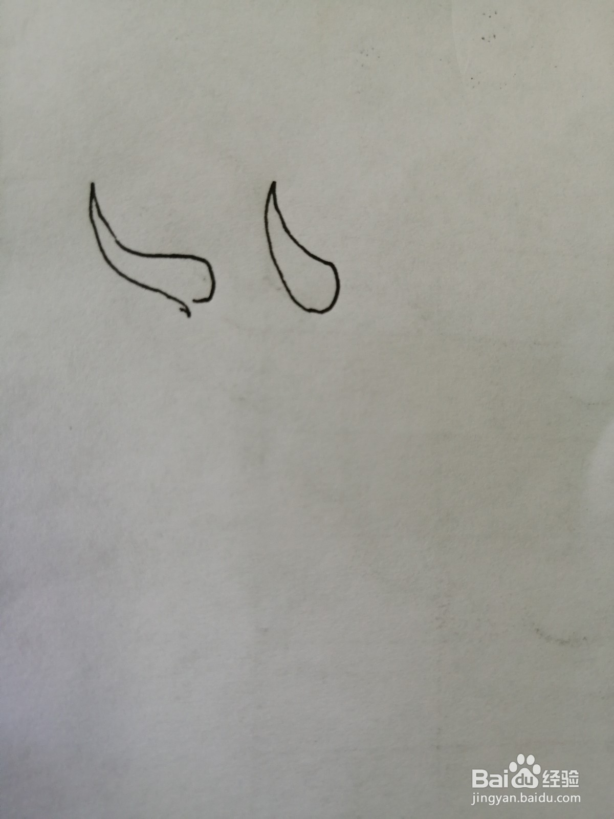 简笔画三角龙怎么画