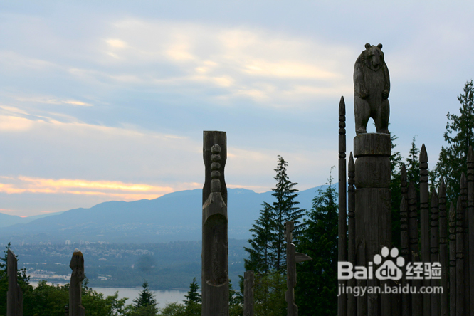 温哥华夜幕下的玫瑰园(组图)