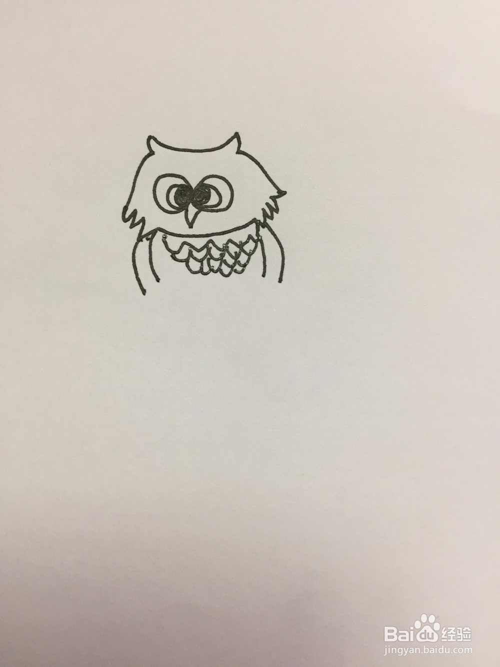 猫头鹰的简单画法