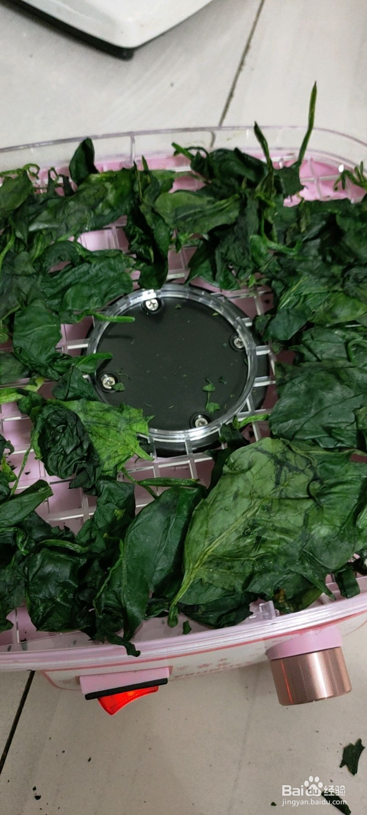 菠菜粉的做法