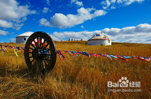 呼伦贝尔旅游攻略
