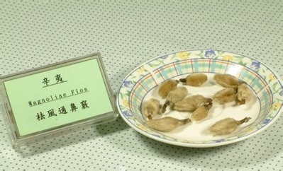 对春季过敏SAY:NO!