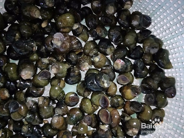 酱香小螺蛳做法