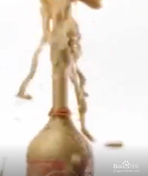 如何制作有趣的小实验