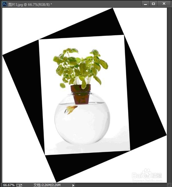 摆正图片有妙招