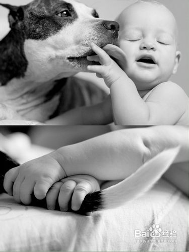 最常用的10种抑制孕吐的方法