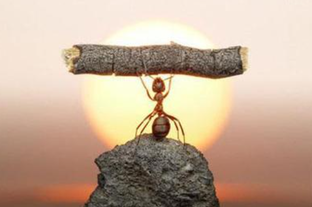 励志让自己优秀短句有哪些