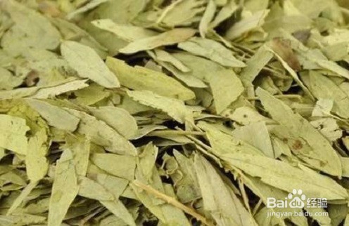 番泻叶的作用与副作用