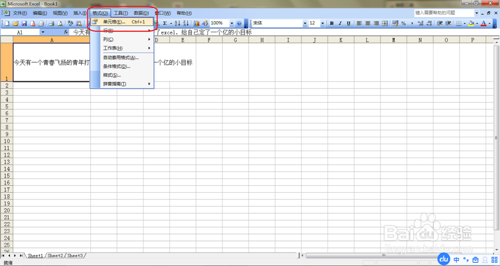 Excel表格里怎么输入两行文字