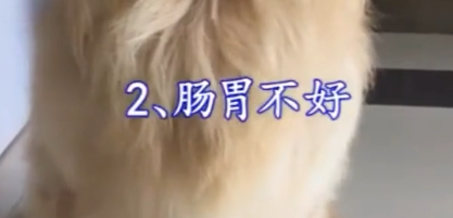 为什么狗狗会软便