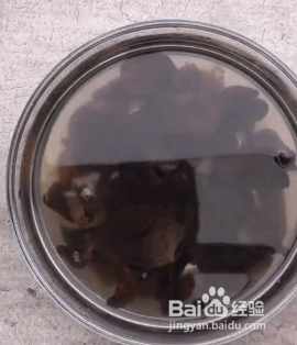 紫白菜怎么做好吃