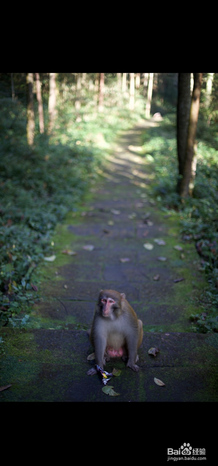 iPhone照片如何裁剪