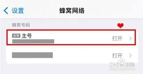 iphone12如何开启自动5G呢