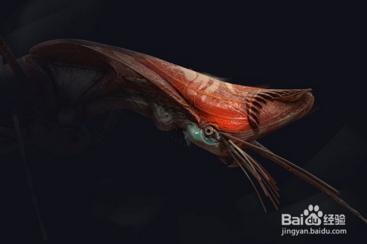 ZBrush结合Maya设计和建模生物全过程(下)