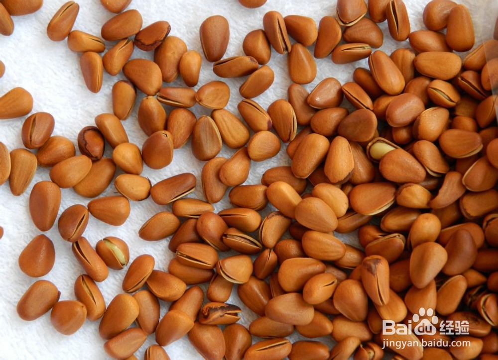 生的松子在家怎么炒