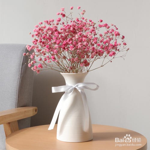 满天星干花怎么养呢？