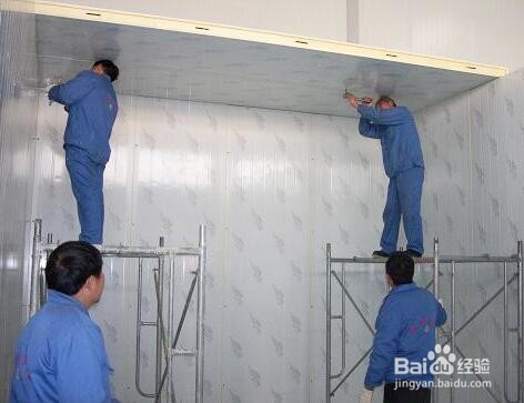 如何防止墙壁发霉墙壁发霉了应该怎么办