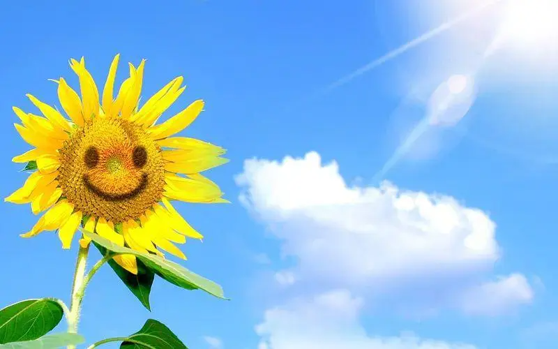 天天开心下一句是什么-百度经验