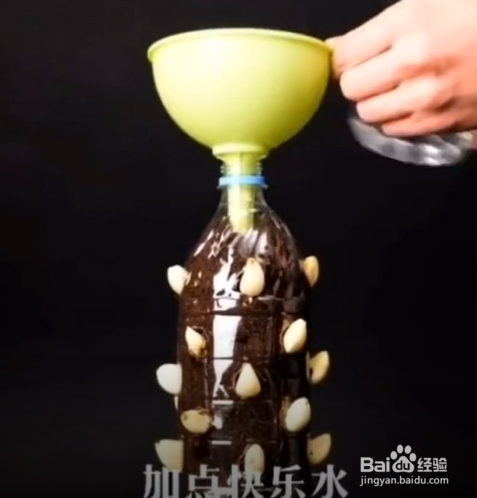 在生活中的种植的小妙招