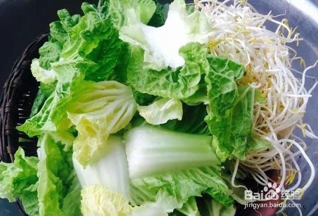 小白菜拌豆芽