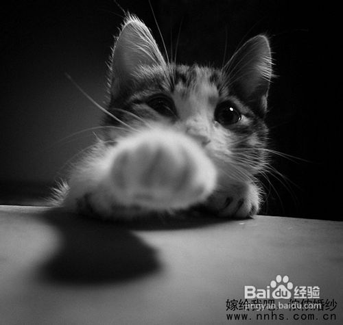 黑白世界——ps调色技巧