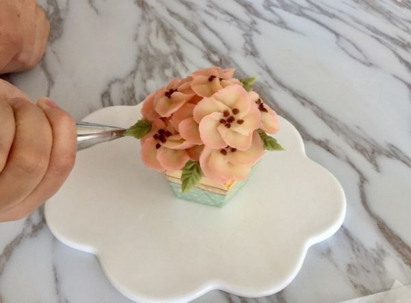 豆沙苹果花纸杯蛋糕