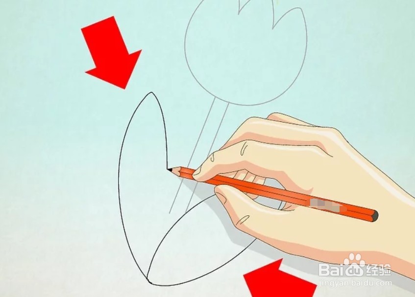 如何画卡通郁金香？