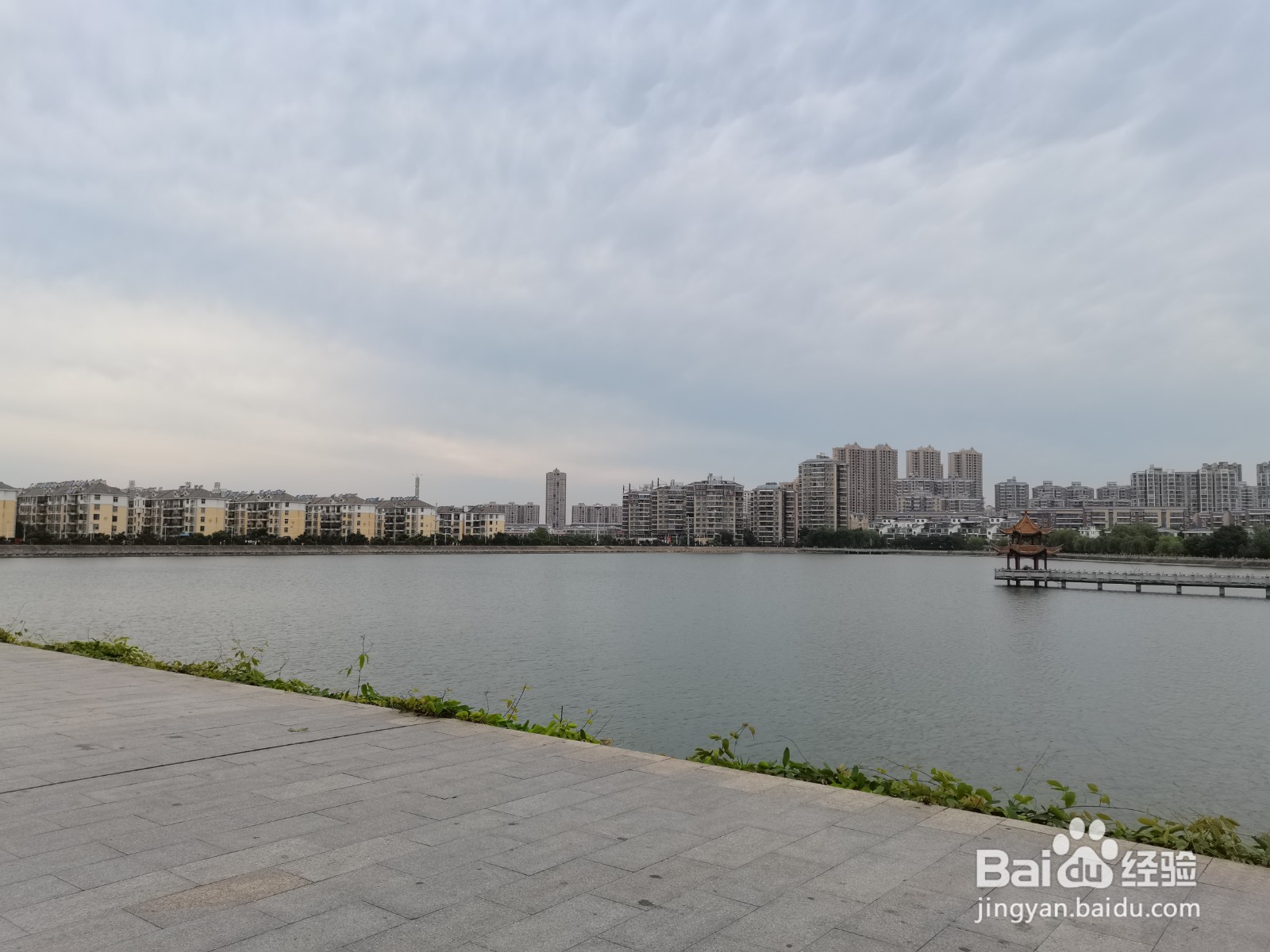 孝昌风景之观塘