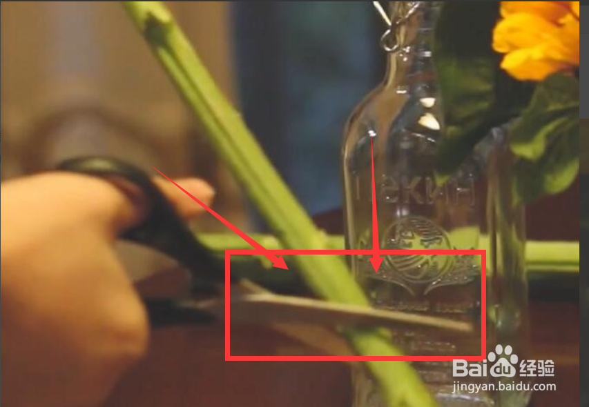 向日葵插水里要怎么养