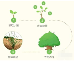 支付宝步数能量怎么算？（支付宝步数的能量怎么算）