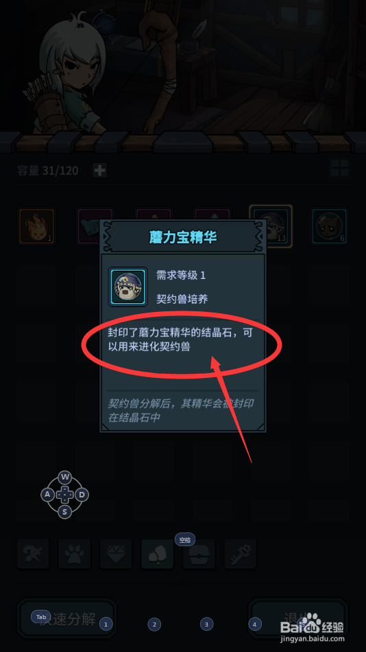 提灯与地下城中怎么去查看魔力宝精华的详情