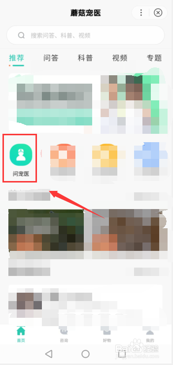 猫咪精神不好食欲不振怎么办