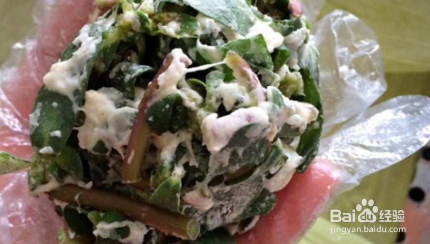 马齿苋素馅怎么做好吃