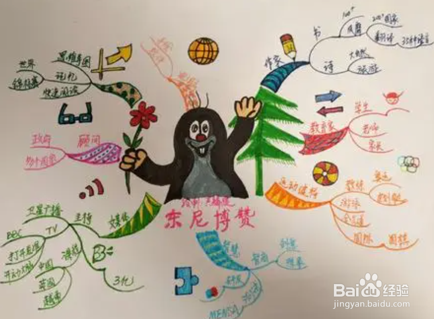 判断题怎么背比较快