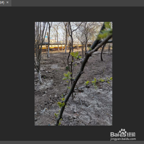 如何将阴暗的图片调的更加明亮一些