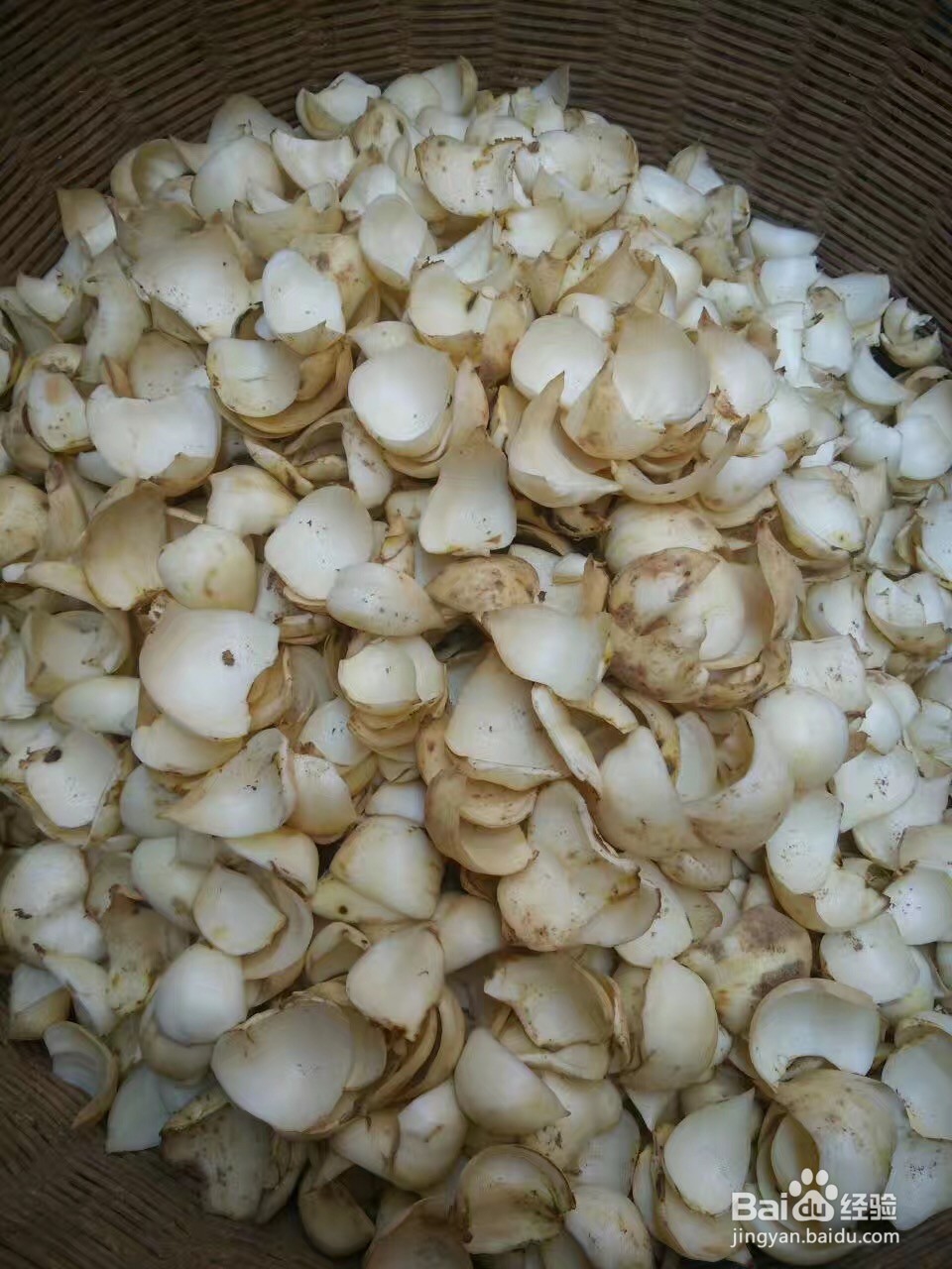 如何辨别无硫磺熏制过的百合干