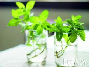 端午节之后如何养生?