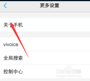vivo手机怎么找到开发者选项